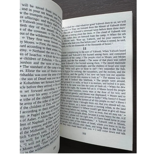 Ethiopian Bible: Full Canon and Heritage